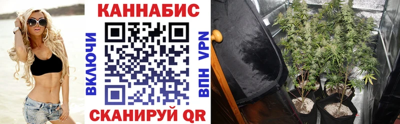 Наркошоп купить Alpha PVP  Мефедрон  Псилоцибиновые грибы  Бошки Шишки  БУТИРАТ  Гашиш  КОКАИН  Волжск