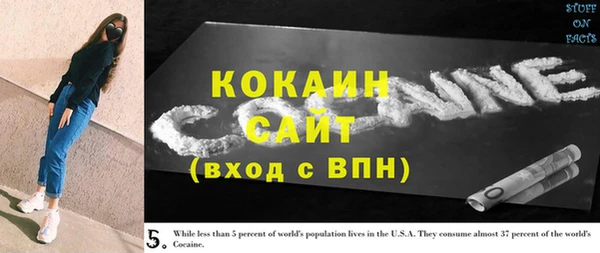 2c-b Инсар