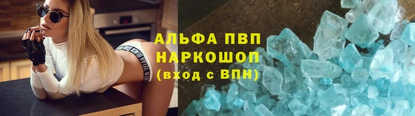 2c-b Инсар