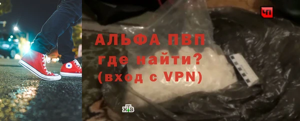 2c-b Инсар