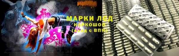 2c-b Инсар