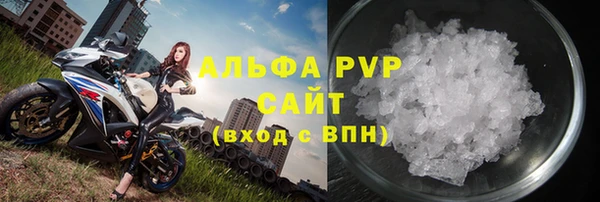 2c-b Инсар