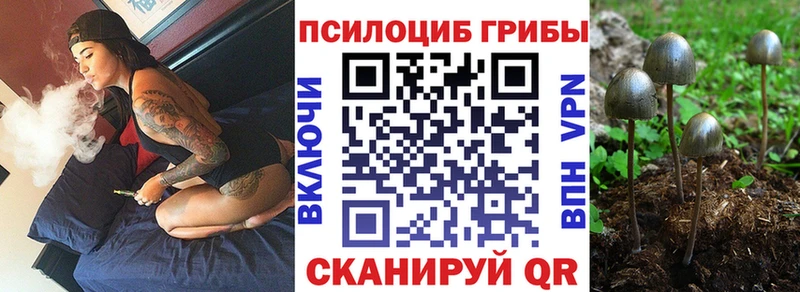 Псилоцибиновые грибы MAGIC MUSHROOMS Волжск