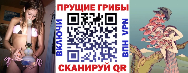 Купить закладки  Волжск  Псилоцибиновые грибы мицелий 